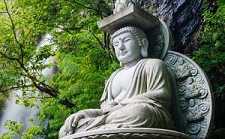 https://m.kccmn.com/vtxopic/yjnyuan/53481.html