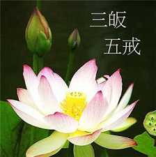三皈五戒的重要性
